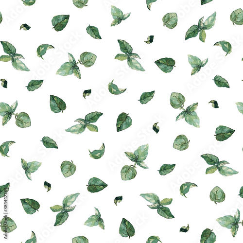 Seamless pattern of green basil leaves isolated on white. Watercolor illustration. For wallpaper, wrapping paper, textile, stationary, packaging and all types of surface design.