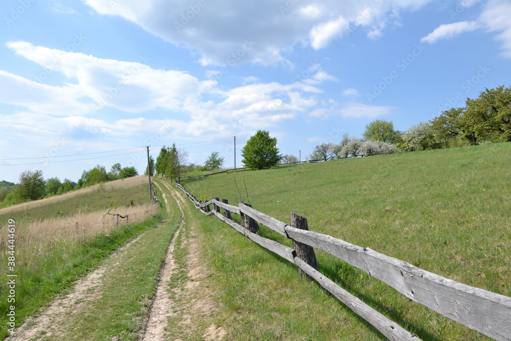 Fototapeta premium path in the field