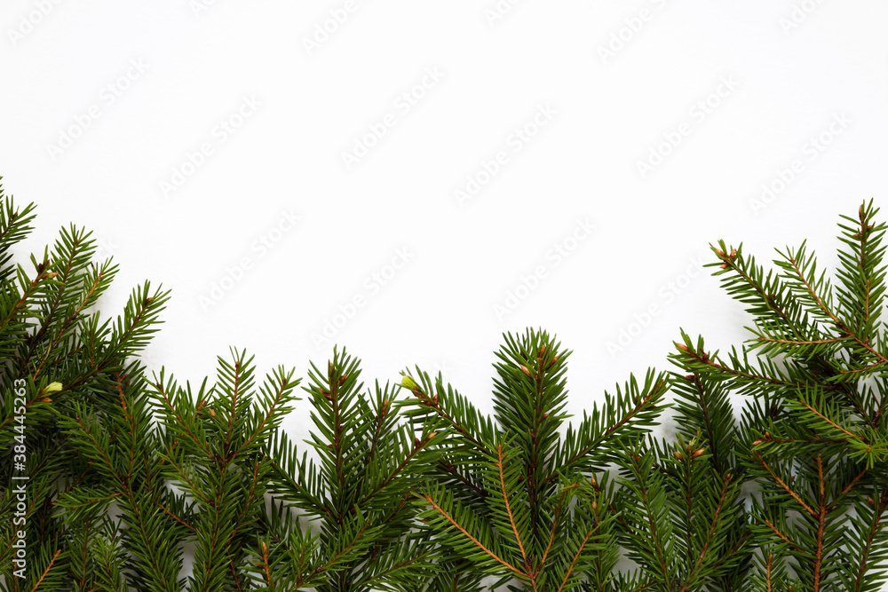 Fototapeta premium Border fir tree branches isolated on white