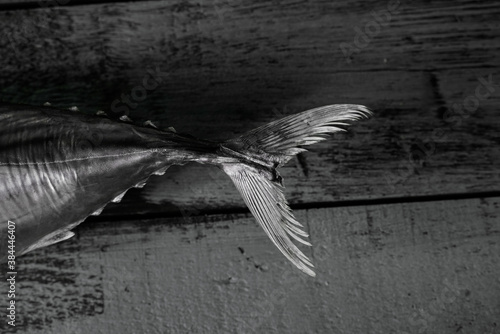 fresh raw tunny fish on wood black and white