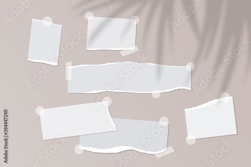 Realistic empty torn paper notes with sticky tape on beige background with palm leaves shadow overlay. Vector illustration of mood board mockup with ripped pieces of notebook sheets