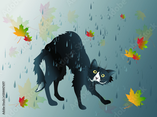 A lonely unfortunate homeless black cat gets wet in the cold autumn rain. Vector illustration.