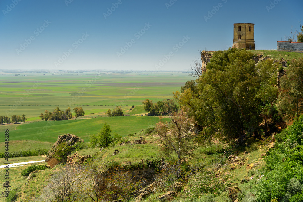 landscape of andalucia.
view of the farmland of guadalquivir from carmona town. andalusia. spain