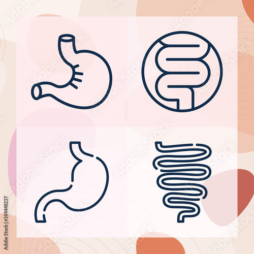 Simple set of internal organ related lineal icons