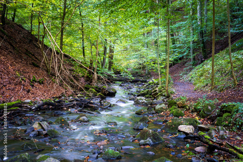 Long exposure of creek in Forsakar nature reserve Degeberga, Skåne, Sweden. Captured in the autumn. Nature background. Long exposure of creek in Forsakar nature reserve Degeberga, Skåne, Sweden. Captured in the autumn. Nature background.