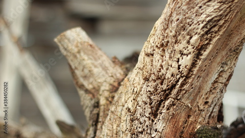 Old dark wooden pattern, background, texture
