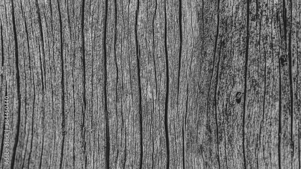 Old dark wooden pattern, background, texture, black and white Old dark wooden pattern, background, texture, black and white