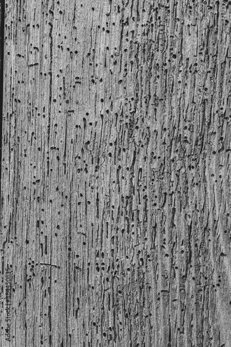 Old dark wooden pattern, background, texture