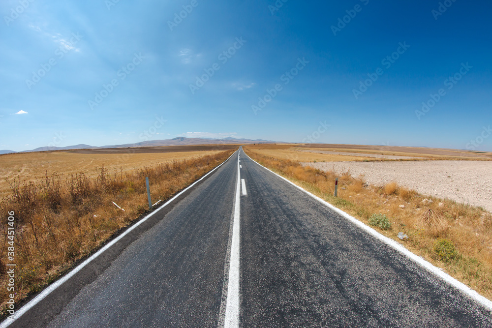 asphalt road with dried grass and blue sky. a long way to travel. asphalt road with dried grass and blue sky. a long way to travel.