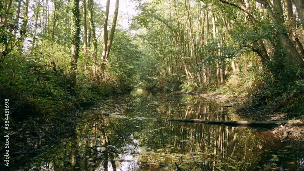 Wide slow flowing river through old English woodland. Wide slow flowing river through old English woodland.