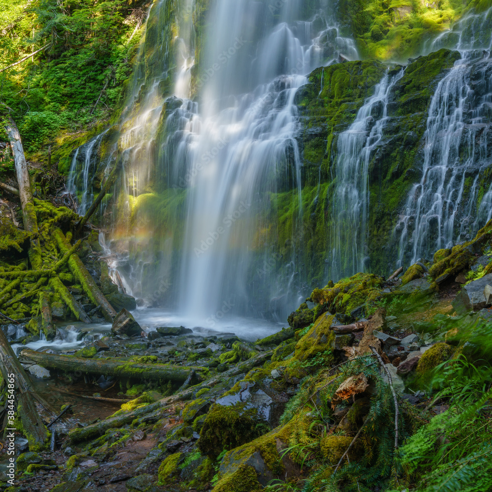 Obraz premium Summer Rainbow - Proxy Falls in the Three Sisters Wilderness Area, Oregon.