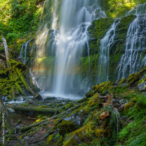 Summer Rainbow - Proxy Falls in the Three Sisters Wilderness Area  Oregon.