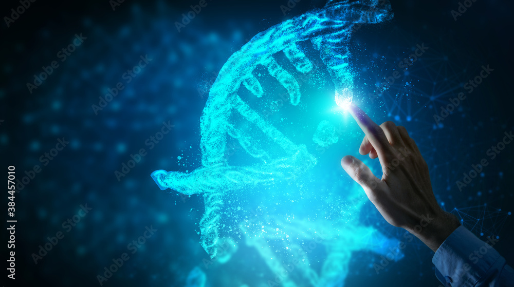 studying the digital interface of the molecule studying the digital interface of the molecule