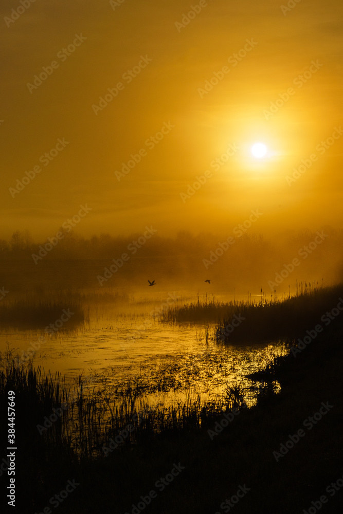 Morning Liftoff - Ducks lift off a marsh at sunrise. Finley National Wildlife Refuge, Oregon