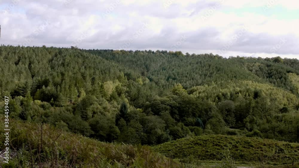A view over the top of a canopy of trees. perfect for establishing and cutaways A view over the top of a canopy of trees. perfect for establishing and cutaways