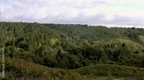 A view over the top of a canopy of trees. perfect for establishing and cutaways