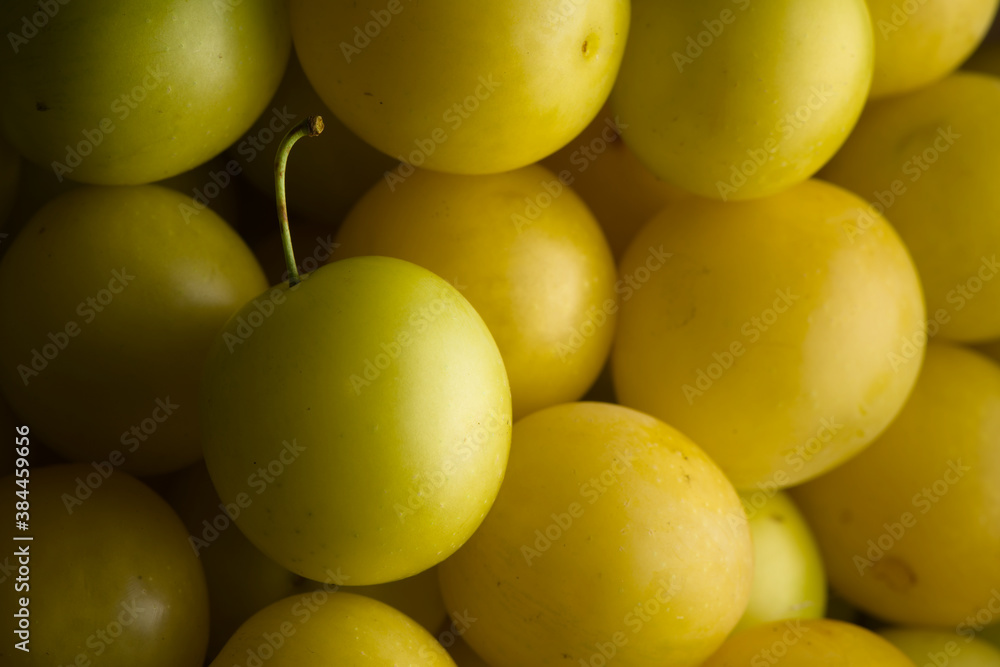 3 - Close shot of harvested yellow mirabelle plums lit from the right. 3 - Close shot of harvested yellow mirabelle plums lit from the right.