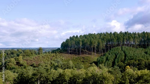 A static shot from the top of a hill of a forest backed by skyline