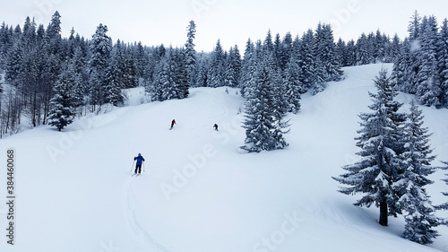 Scenic view of the ski slope among the snow-covered fir trees on the mountainside.