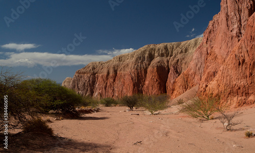 The red canyon. View of the arid valley, desert flora, red and orange sandstone, rock formations and mountains under a blue sky.