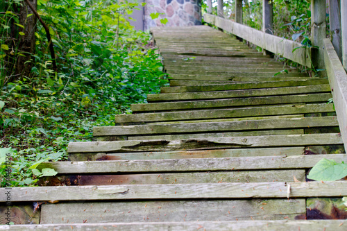 wooden stairs in the park