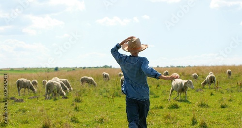 Rear on Caucasian small teen boy in hat running outdoors in field and looking after animals. Back view on little child working as shepherd and taking care of sheep flock grazing. Livestock at pasture. © VAKSMANV