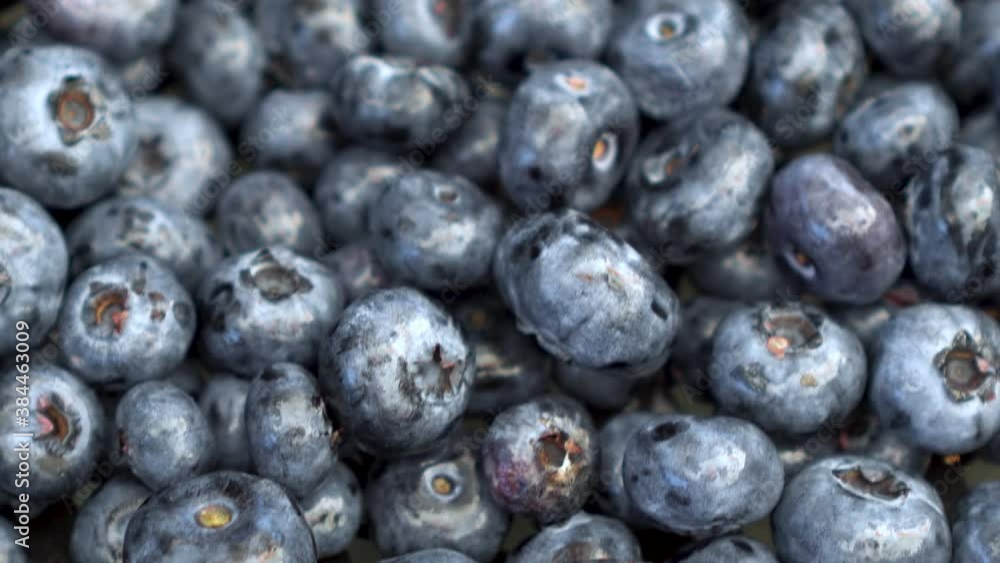 A lot of blueberries on the market close-up. The camera moves. A lot of blueberries on the market close-up. The camera moves.