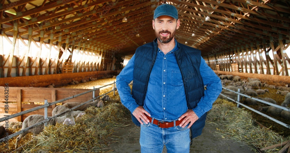 Portrait of young handsome Caucasian man farmer in cap looking at camera with hands on sides and smiling in barn with livestock. Happy cheerful male shepherd in stable. Inside. Dolly shot. Portrait of young handsome Caucasian man farmer in cap looking at camera with hands on sides and smiling in barn with livestock. Happy cheerful male shepherd in stable. Inside. Dolly shot.