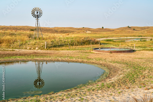 cattle drinking hole in a prairie of Nebraska Sandhills - fall morning scenery at Nebraska National Forest