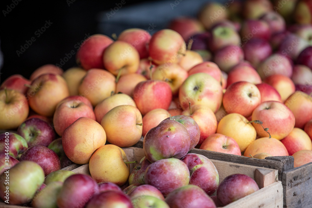 Apples on display at a farmers market