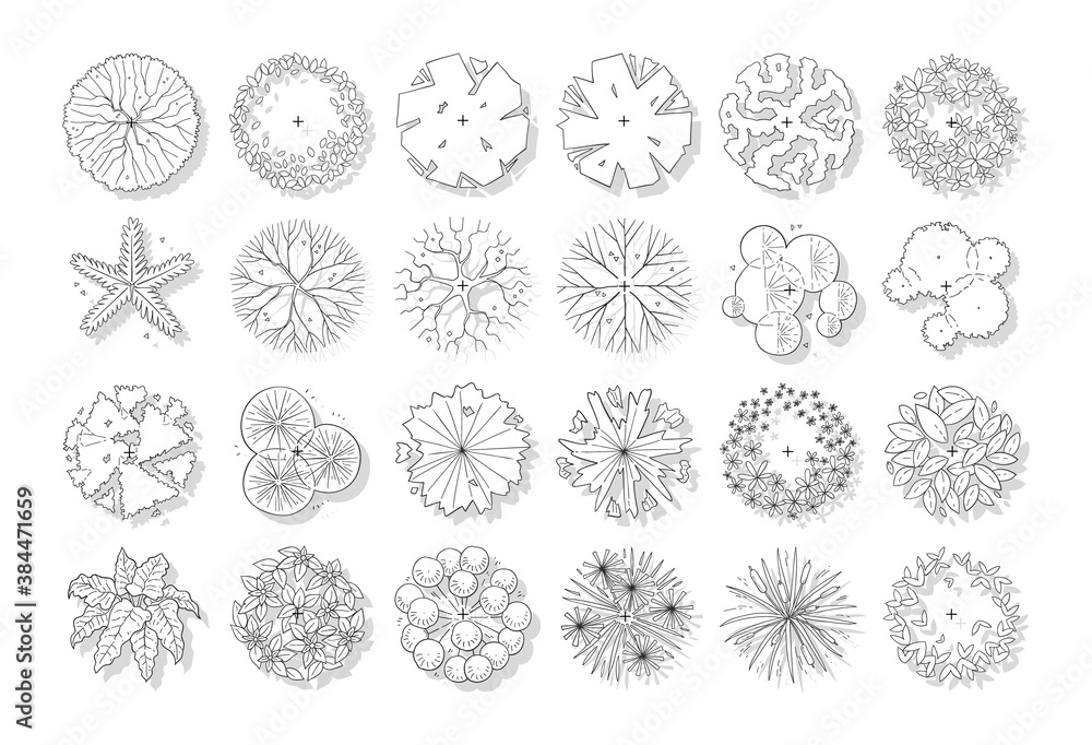 vector of top view tree set, hand drawn sketch isolated on white background