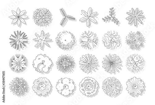 vector of top view tree set, hand drawn sketch isolated on white background