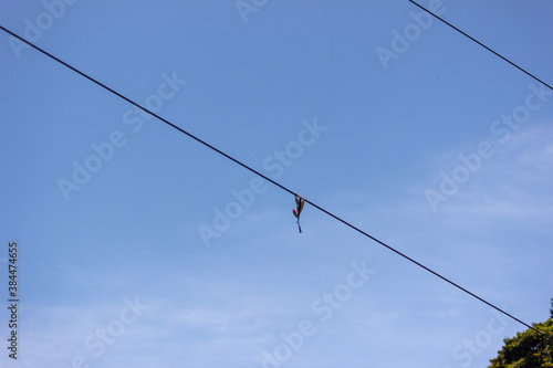 電線にかかった釣り具（ルアー）は危険 lures on electric line