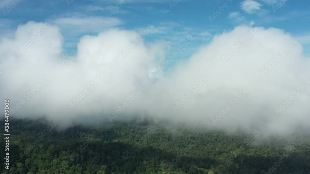 View from above, stunning aerial view of a tropical rainforest with clouds formed from water vapor released from trees and other plants throughout the day. Taman Negara National Park, Malaysia. View from above, stunning aerial view of a tropical rainforest with clouds formed from water vapor released from trees and other plants throughout the day. Taman Negara National Park, Malaysia.