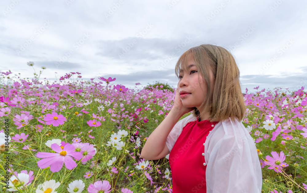 ベトナムの伝統衣装着てコスモス畑にいる若い女性 ベトナムの伝統衣装着てコスモス畑にいる若い女性