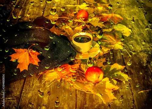 Autumnal maple and oak leaves, cup of black coffee, decorative pumpkin, rowan...