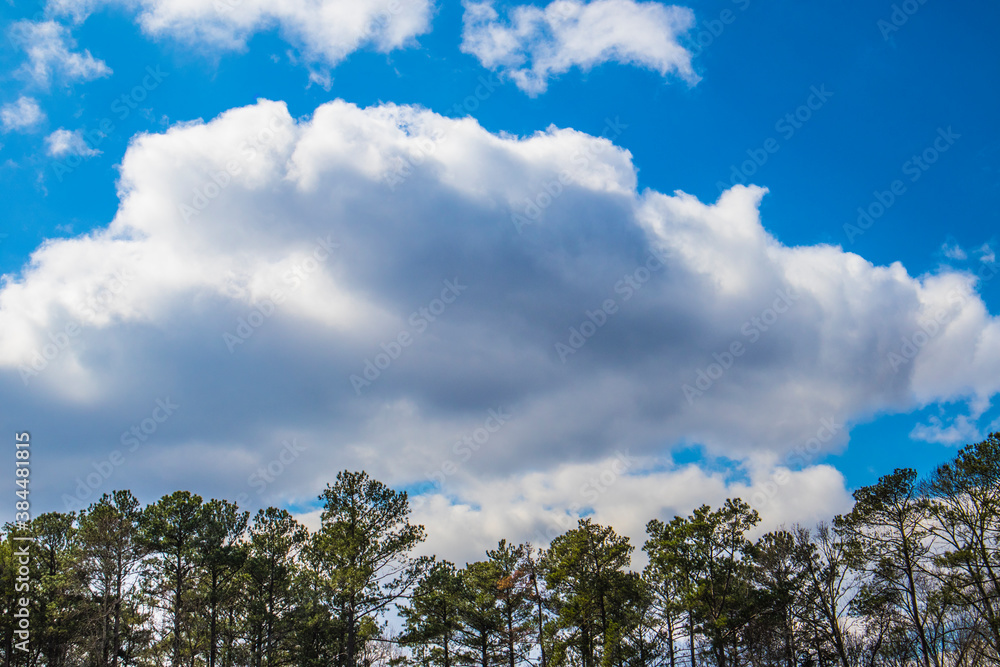 Thick white clouds and a tree line Thick white clouds and a tree line