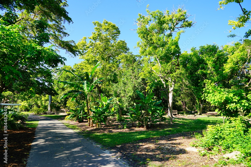 Fairchild tropical botanic garden in Miami, FL, USA