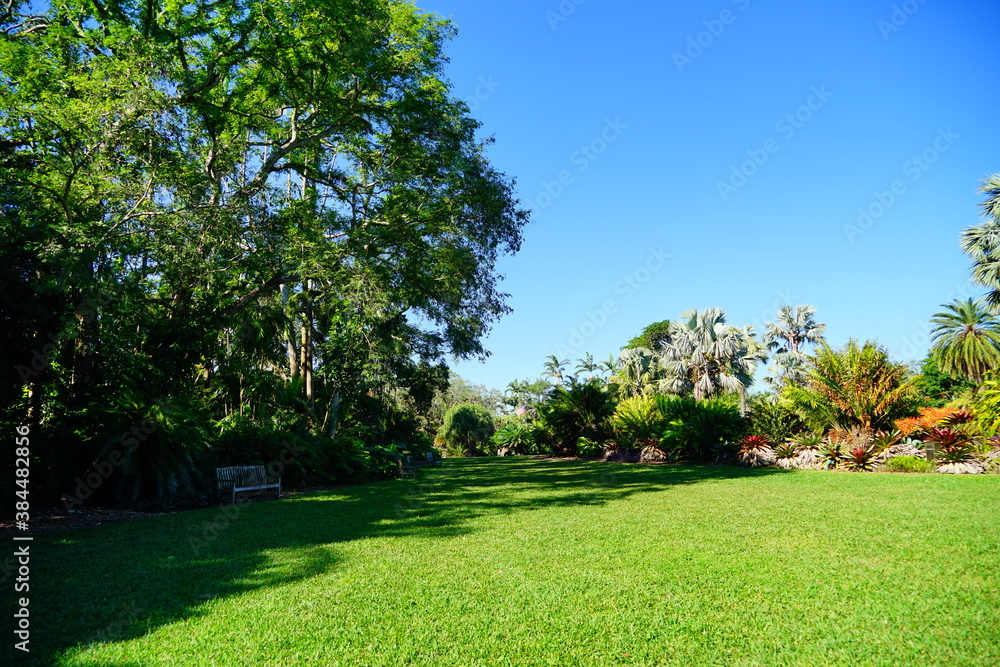 Obraz premium Fairchild tropical botanic garden in Miami, FL, USA