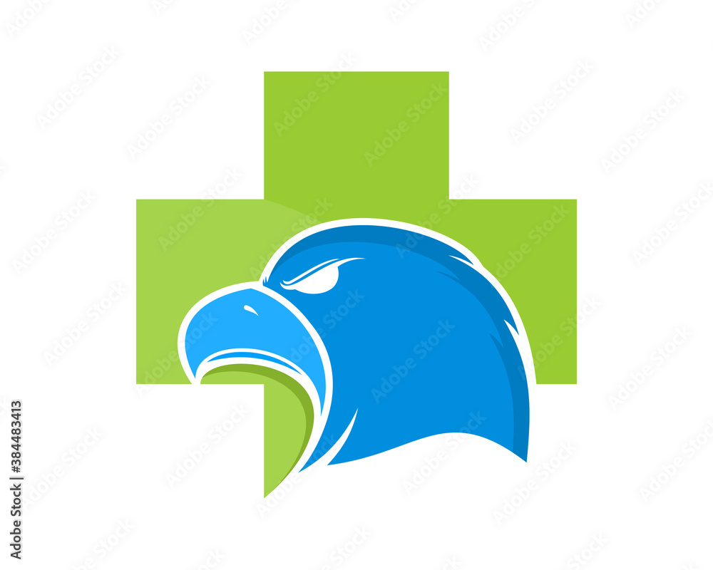 Combination eagle head with medical symbol Combination eagle head with medical symbol