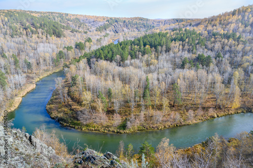 Mountain river in the autumn forest with yellow birches and green firs on the slope of a mountain cliff in the Siberian taiga