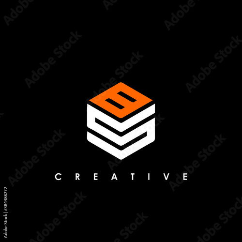 BS letter designs for logo and icon vector