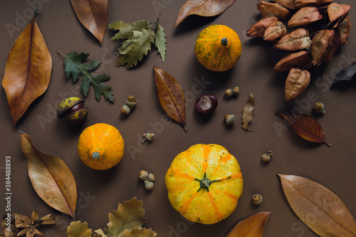 Autumn composition made of pumpkins, dried leaves, chestnuts and acorns.