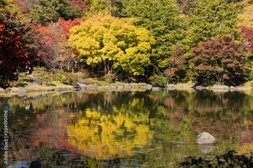 紅葉の風景