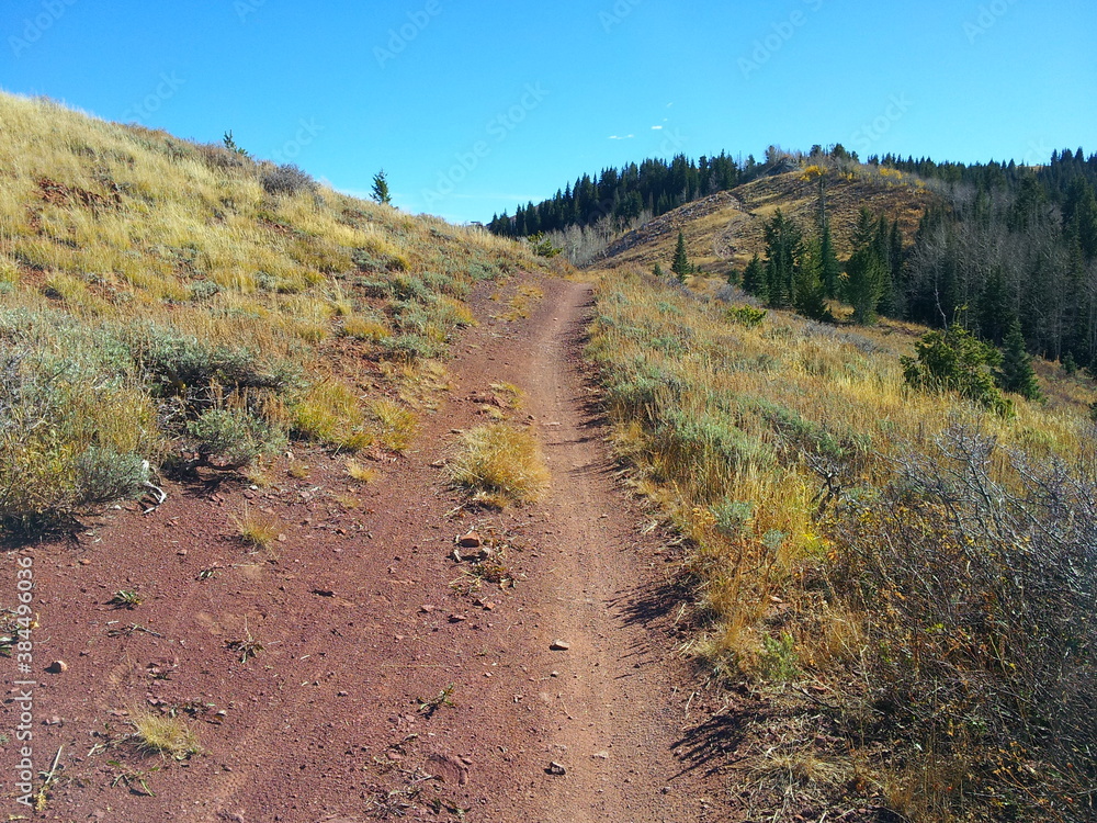Wasatch Crest Trail in Autumn, Millcreek Canyon, Wasatch-Cache National Forest, Utah