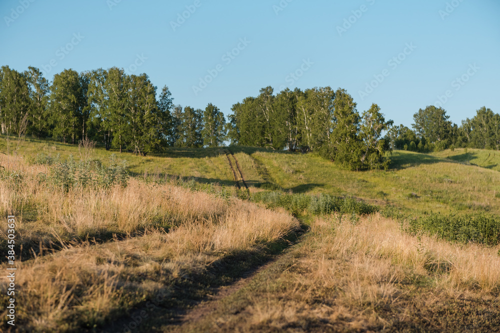 Country road. Road through the field. Dusty road. Walking tour. Walk near the forest Country road. Road through the field. Dusty road. Walking tour. Walk near the forest