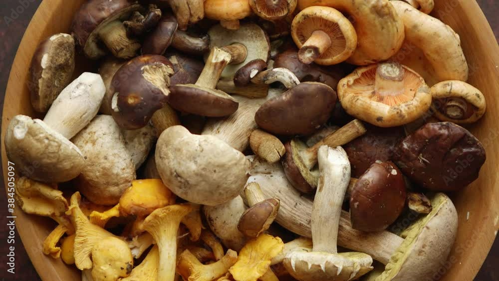 Close up on raw and fresh forest various mushrooms in bowl. Organic vegetarian healthy food. Close up on raw and fresh forest various mushrooms in bowl. Organic vegetarian healthy food.