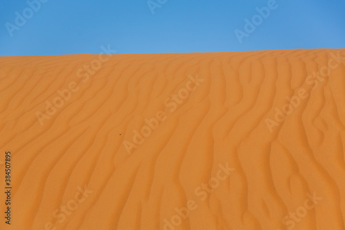 オマーンの砂漠 
