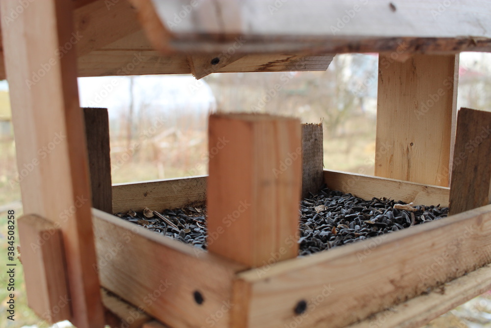 bird feeder bird feeder