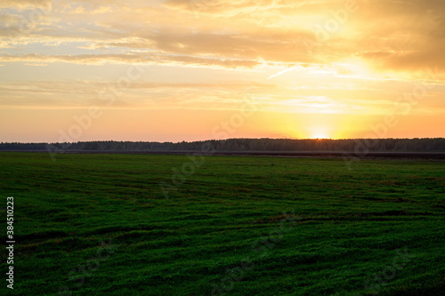 Landscape photo of the evening sunset sky in autumn against the background of a green field in the orange sun © Вячеслав Чичаев
